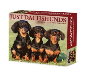 Willow Creek ダックスフンド【日めくりカレンダー】　JUST Dachshunds