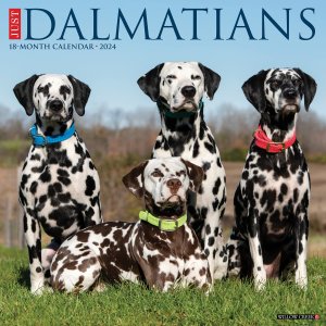 WillowCreek　ダルメシアン カレンダー　JUST Dalmatians