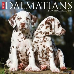 WillowCreek᥷ JUST Dalmatians