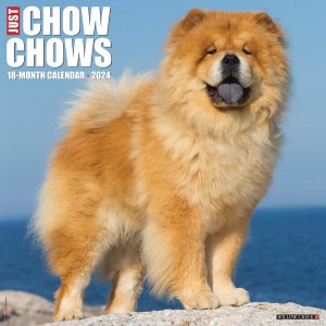 WillowCreek㥦㥦 ---JUST Chow Chows