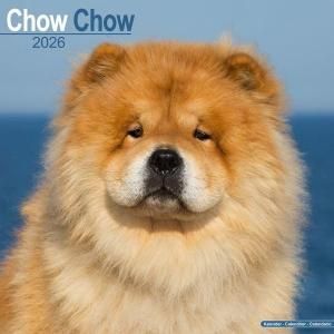 Avonside㥦㥦--- Chow chow