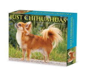 【日めくりカレンダー】Willow Creek チワワ　JUST Chihuahuas