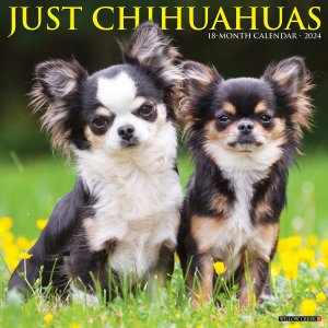 WillowCreek　チワワ カレンダー　JUST Chihuahuas