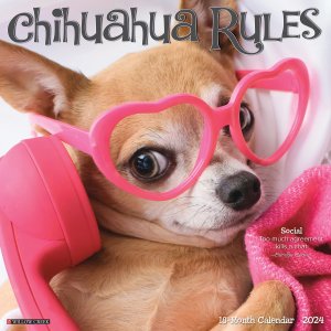 WillowCreek　チワワ カレンダー　Chihuahua Rules