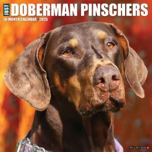 WillowCreekɡ٥ޥ JUST Doberman Pinschers