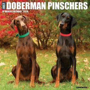WillowCreekɡ٥ޥ JUST Doberman Pinschers