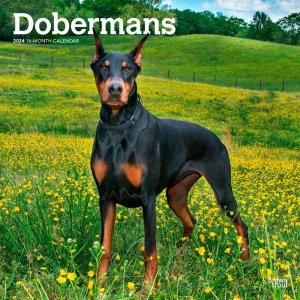 BrownTroutɡ٥ޥ Doberman
