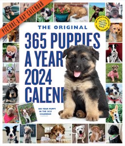 365 puppies a year 月めくりカレンダー