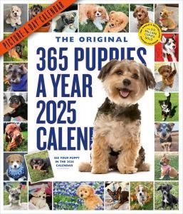365 puppies a year ᤯ꥫ