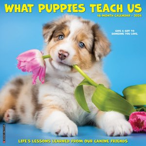 What Puppies Teach Us 月めくりカレンダー