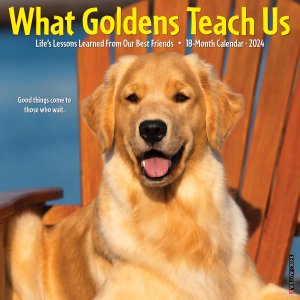 What Goldens Teach Us 月めくりカレンダー