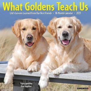 What Goldens Teach Us ᤯ꥫ