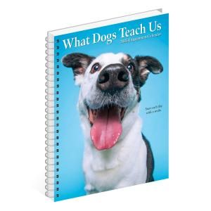 ᤯ꥹ塼ĢWhat dogs teach us
