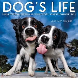 Dog's Life  ᤯ꥫ Willow Creek