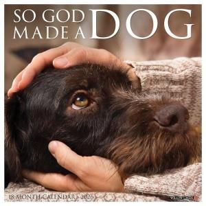 So God Made a Dog ᤯ꥫ Willow Creek