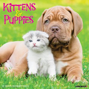 Kittens & Puppies 月めくりカレンダー Browntrout
