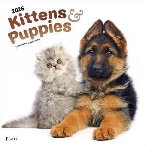 Kittens & Puppies ᤯ꥫ Browntrout PLATO