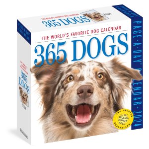 日めくり　365 Dogs