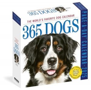 ᤯ꡡ365 Dogs