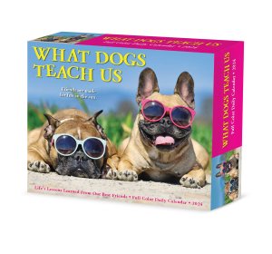 日めくり　What Dogs Teach Us
