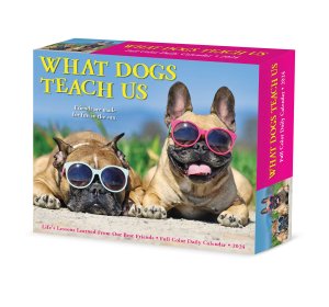 ᤯ꡡWhat Dogs Teach Us