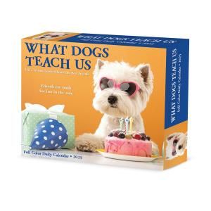 ᤯ꡡWhat Dogs Teach Us Willow Creek