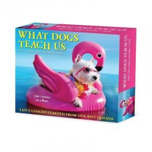 日めくり What Dogs Teach Us Willow Creek