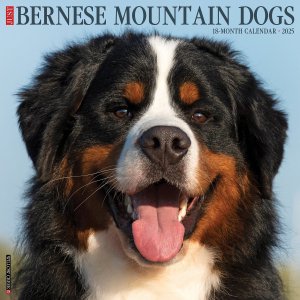 WillowCreek Сˡޥƥɥå JUST Bernese Mountain Dogs