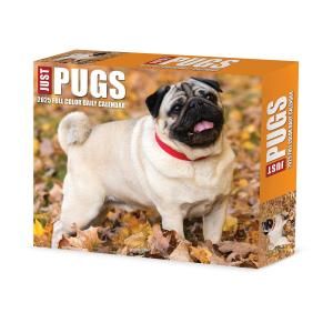 ѥ᤯ꥫWillow Creek---JUST PUGS