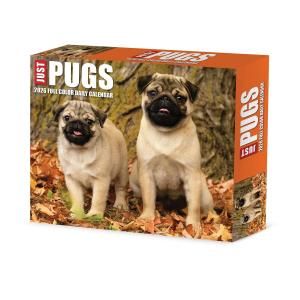 ѥ᤯ꥫWillow Creek---JUST PUGS