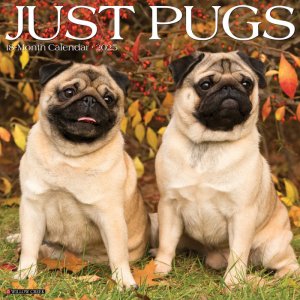 WillowCreekѥJUST PUGS