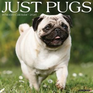 WillowCreekѥJUST PUGS