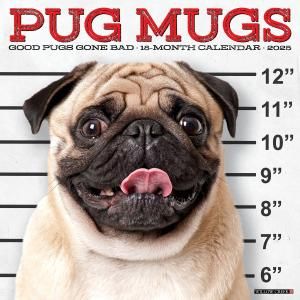 WillowCreekPug Mugsѥ