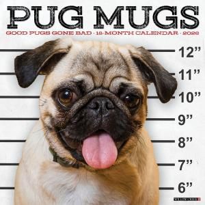 WillowCreekPug Mugsѥ
