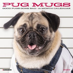 WillowCreek　Pug Mugs　【ミニ】パグカレンダー