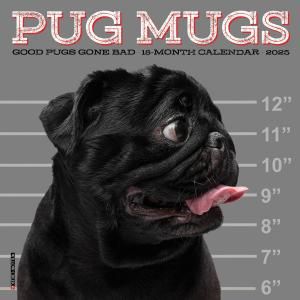 WillowCreekPug Mugsڥߥˡۥѥ