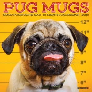 WillowCreekPug Mugsڥߥˡۥѥ