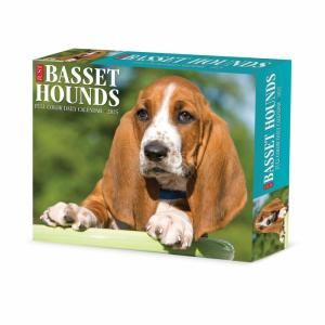 ᤯ꥫ  Хåȥϥ--- JUST BASSET HOUNDSWillow Creek