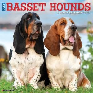 Хåȥϥ  JUST BASSET HOUNDS --- WillowCreek