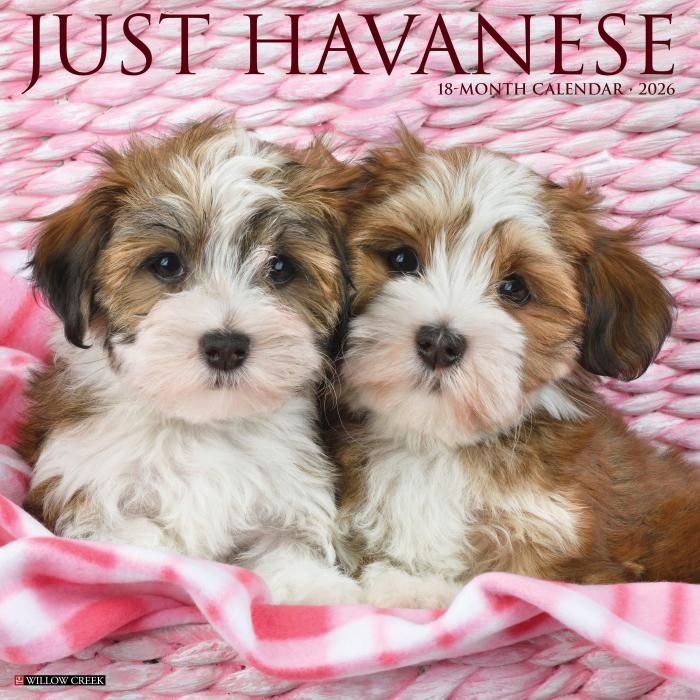 Willowcreek ハバニーズ カレンダー Havanese スマイルドッグ アメリカ直輸入犬用品専門店