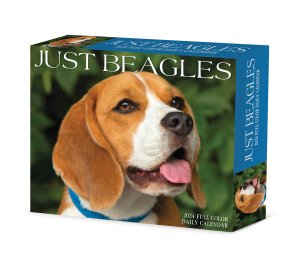 ビーグル【日めくりカレンダー】JUST Beagles--- Willow Creek