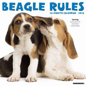 WillowCreekӡڥѥԡۥ JUST Beagle Puppies