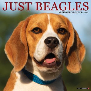 WillowCreek　ビーグル カレンダー JUST Beagles