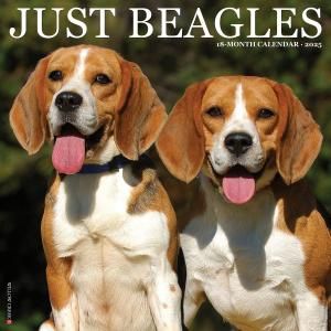 WillowCreekӡ  JUST Beagles