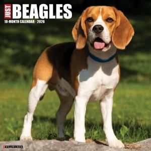 WillowCreek ビーグル カレンダー JUST Beagles