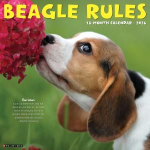WillowCreekBeagle Rules