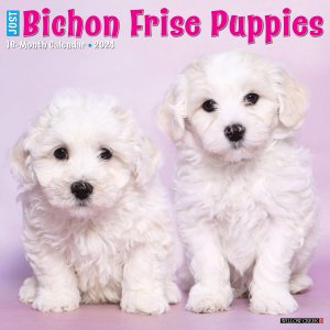 WillowCreek　ビションフリーゼ【パピー】カレンダー　JUST Bichon Frise Puppies
