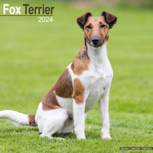 Avonside　フォックステリア カレンダー　Fox terrier