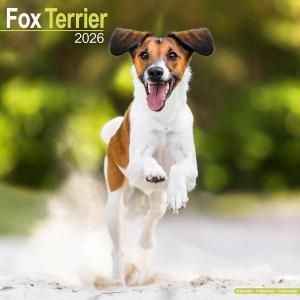 Avonside フォックステリア カレンダー Fox terrier