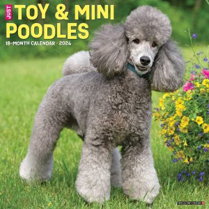 WillowCreek　トイ＆ミニチュアプードル カレンダー JUST Toy & Miniature Poodle